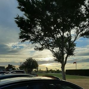 Meet your Posher, Sophia